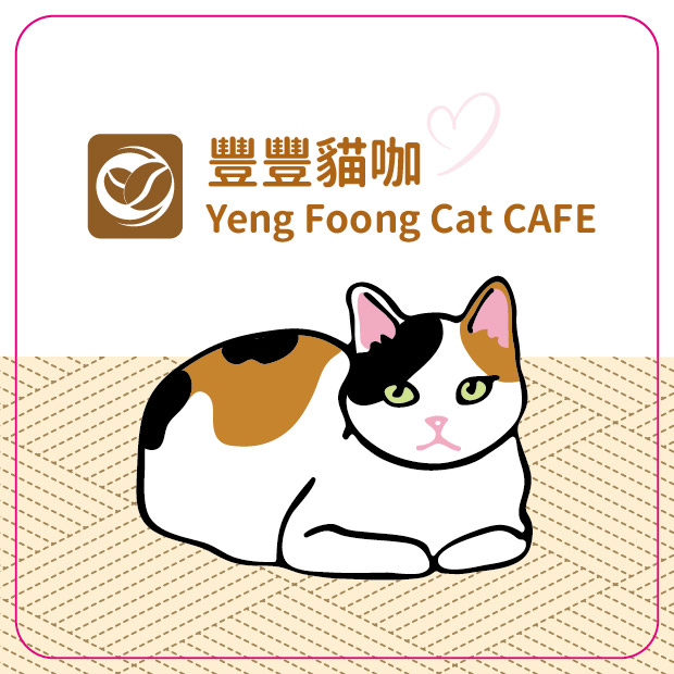 可愛貓咖