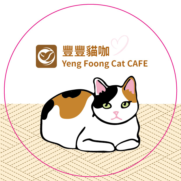 可愛貓咖